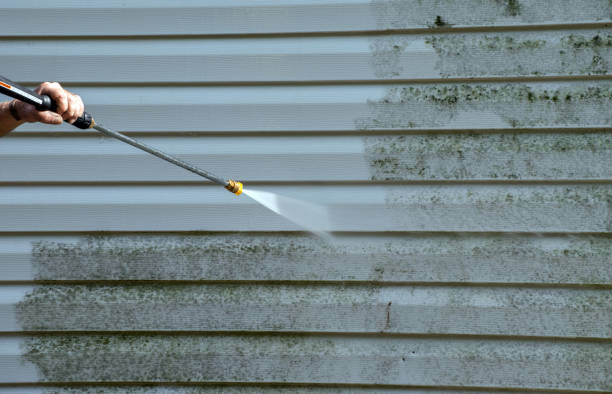 Best Building Exterior Washing  in Annandale, MN